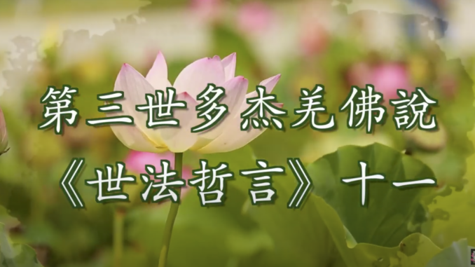 第三世多杰羌佛說《世法哲言》（十一）